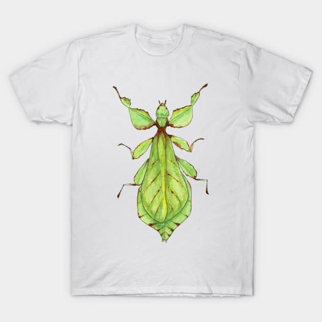 Leaf Bug Watercolor Illustration T-Shirt by Danica Templeton Art